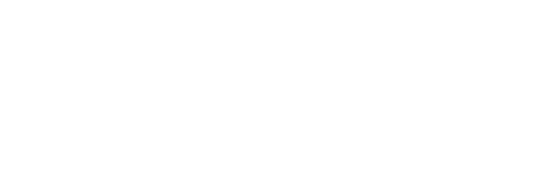 Ronin